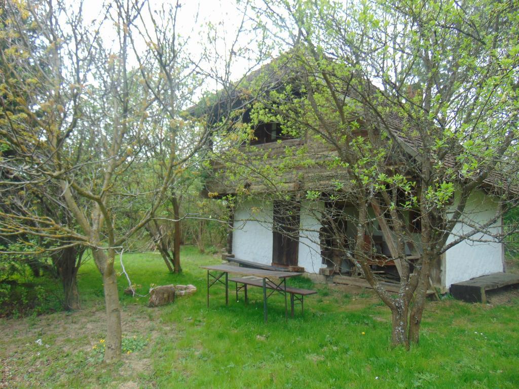 Rigo Vendeghaz Hotel Őriszentpéter Екстериор снимка